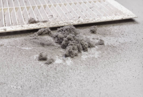 Best Commercial HVAC Duct Cleaning  in Bryan, OH