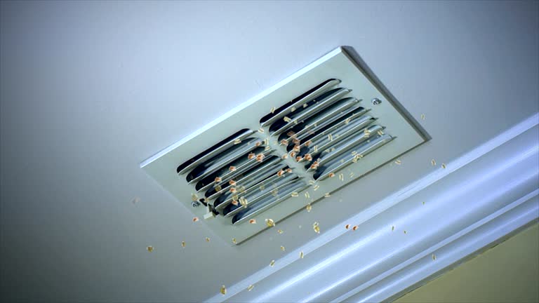 Best HVAC Air Duct Cleaning  in Bryan, OH